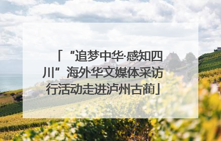 “追梦中华·感知四川”海外华文媒体采访行活动走进泸州古蔺