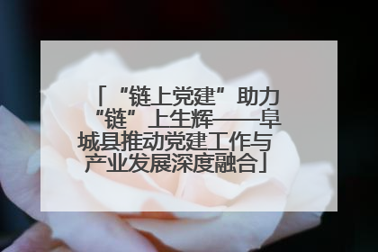 “链上党建”助力“链”上生辉——阜城县推动党建工作与产业发展深度融合