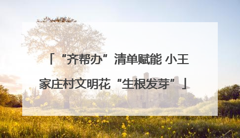 “齐帮办”清单赋能 小王家庄村文明花“生根发芽”