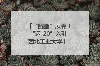“鲲鹏”展翼！“运-20”入驻西北工业大学