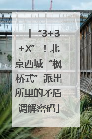 “3+3+X”！北京西城“枫桥式”派出所里的矛盾调解密码