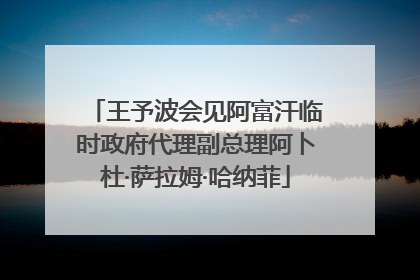 王予波会见阿富汗临时政府代理副总理阿卜杜·萨拉姆·哈纳菲