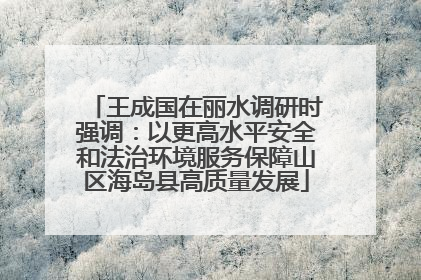 王成国在丽水调研时强调：以更高水平安全和法治环境服务保障山区海岛县高质量发展