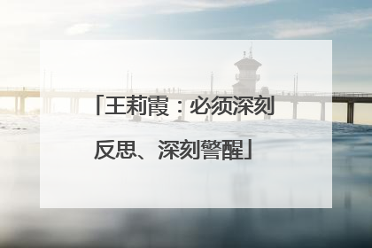 王莉霞：必须深刻反思、深刻警醒