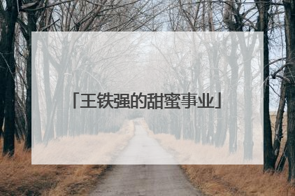 王铁强的甜蜜事业