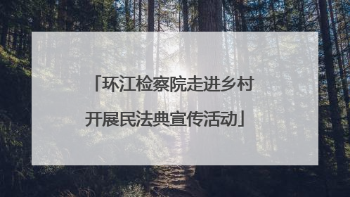 环江检察院走进乡村开展民法典宣传活动