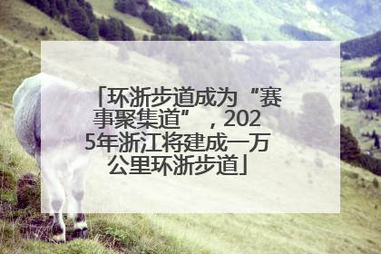 环浙步道成为“赛事聚集道”，2025年浙江将建成一万公里环浙步道