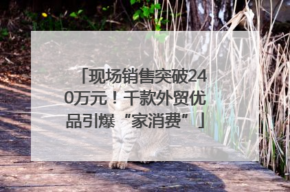 现场销售突破240万元！千款外贸优品引爆“家消费”