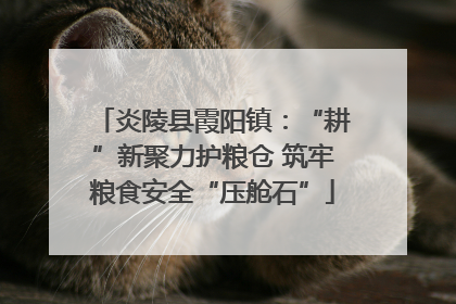 炎陵县霞阳镇：“耕”新聚力护粮仓 筑牢粮食安全“压舱石”