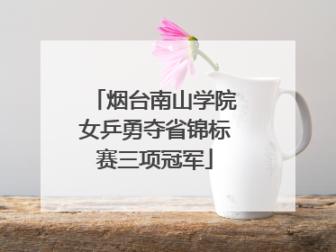 烟台南山学院女乒勇夺省锦标赛三项冠军