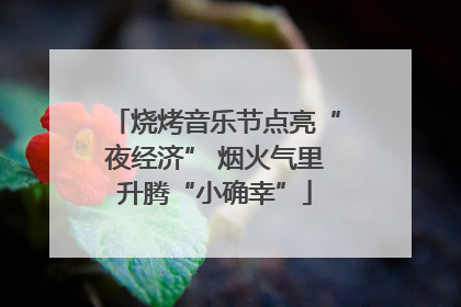 烧烤音乐节点亮“夜经济” 烟火气里升腾“小确幸”
