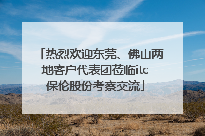 热烈欢迎东莞、佛山两地客户代表团莅临itc保伦股份考察交流