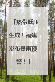 热带低压生成！福建发布暴雨预警！