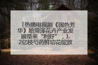 热播电视剧《国色芳华》给菏泽花卉产业发展带来“利好”，1.2亿枝芍药鲜切花绽放“国色芳华”