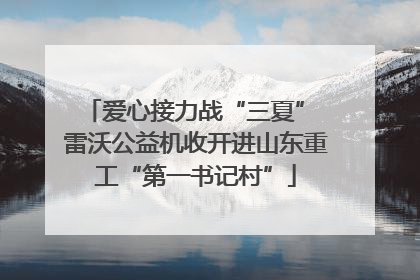 爱心接力战“三夏” 雷沃公益机收开进山东重工“第一书记村”