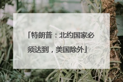 特朗普：北约国家必须达到，美国除外