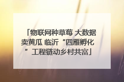 物联网种草莓 大数据卖黄瓜 临沂“四雁孵化”工程链动乡村共富
