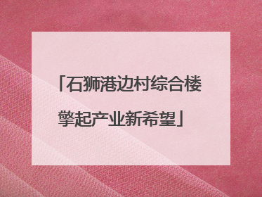 石狮港边村综合楼擎起产业新希望