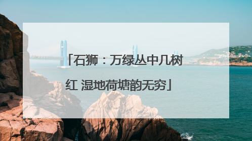 石狮：万绿丛中几树红 湿地荷塘韵无穷
