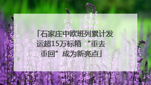 石家庄中欧班列累计发运超15万标箱 “重去重回”成为新亮点