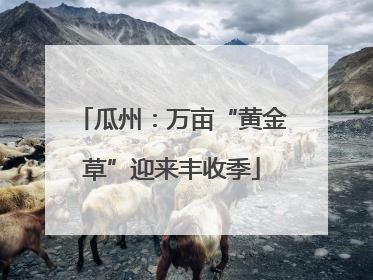 瓜州：万亩“黄金草”迎来丰收季