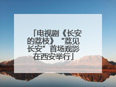 电视剧《长安的荔枝》“荔见长安”首场观影在西安举行