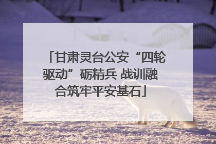 甘肃灵台公安“四轮驱动”砺精兵 战训融合筑牢平安基石