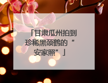 甘肃瓜州拍到珍稀黑颈鹤的“安家照”