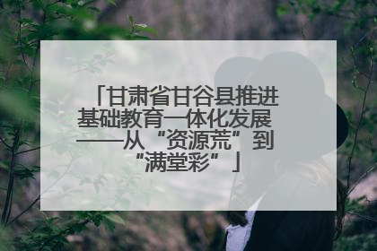 甘肃省甘谷县推进基础教育一体化发展——从“资源荒”到“满堂彩”