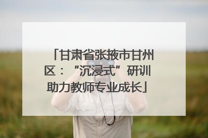 甘肃省张掖市甘州区：“沉浸式”研训助力教师专业成长