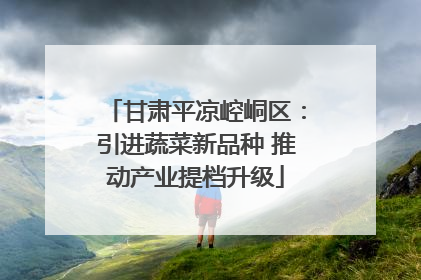 甘肃平凉崆峒区：引进蔬菜新品种 推动产业提档升级