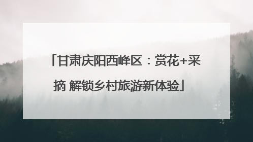 甘肃庆阳西峰区：赏花+采摘 解锁乡村旅游新体验