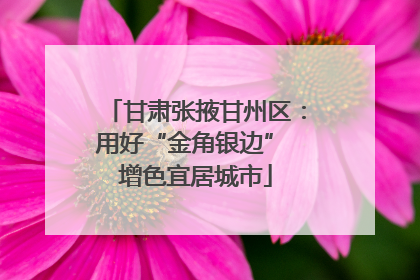 甘肃张掖甘州区：用好“金角银边” 增色宜居城市