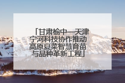 甘肃榆中—天津宁河科技协作推动高原夏菜智慧育苗与品种革新工程