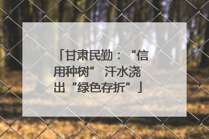 甘肃民勤：“信用种树” 汗水浇出“绿色存折”