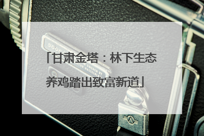 甘肃金塔：林下生态养鸡踏出致富新道