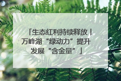 生态红利持续释放丨万峰湖“绿动力”提升发展“含金量”