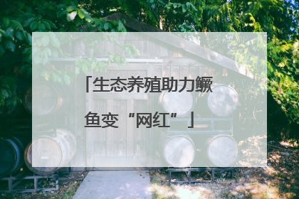 生态养殖助力鳜鱼变“网红”
