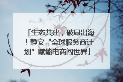 生态共建，破局出海！静安“全球服务商计划”赋能电商闯世界