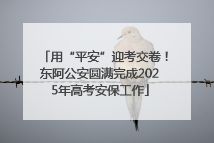 用“平安”迎考交卷！东阿公安圆满完成2025年高考安保工作