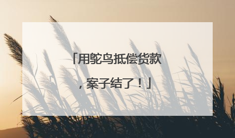 用鸵鸟抵偿货款，案子结了！