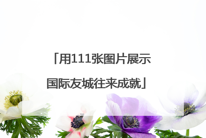 用111张图片展示国际友城往来成就