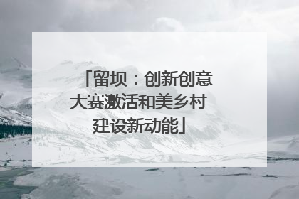 留坝：创新创意大赛激活和美乡村建设新动能