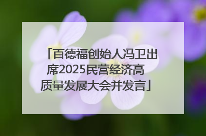 百德福创始人冯卫出席2025民营经济高质量发展大会并发言
