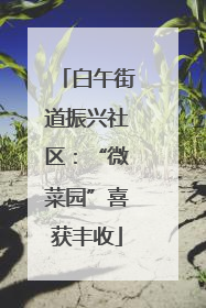 白午街道振兴社区：“微菜园”喜获丰收