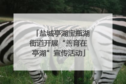 盐城亭湖宝瓶湖街道开展“善育在亭湖”宣传活动