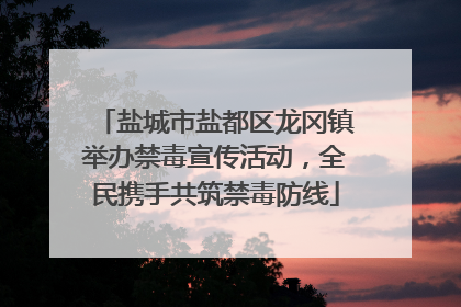 盐城市盐都区龙冈镇举办禁毒宣传活动，全民携手共筑禁毒防线