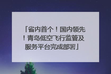 省内首个！国内领先！青岛低空飞行监管及服务平台完成部署