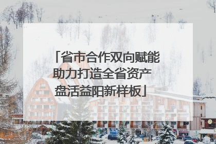 省市合作双向赋能 助力打造全省资产盘活益阳新样板