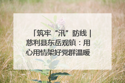 筑牢“汛”防线｜慈利县东岳观镇：用心用情架好党群温暖悠长的“连心桥”